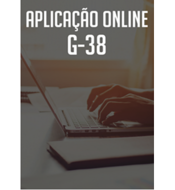 G 38 - Aplicação On-line