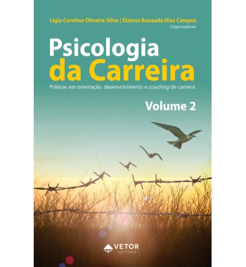 Psicologia da Carreira - Práticas em Orientação, Desenvolvimento e Coaching de Carreira Vol. 2